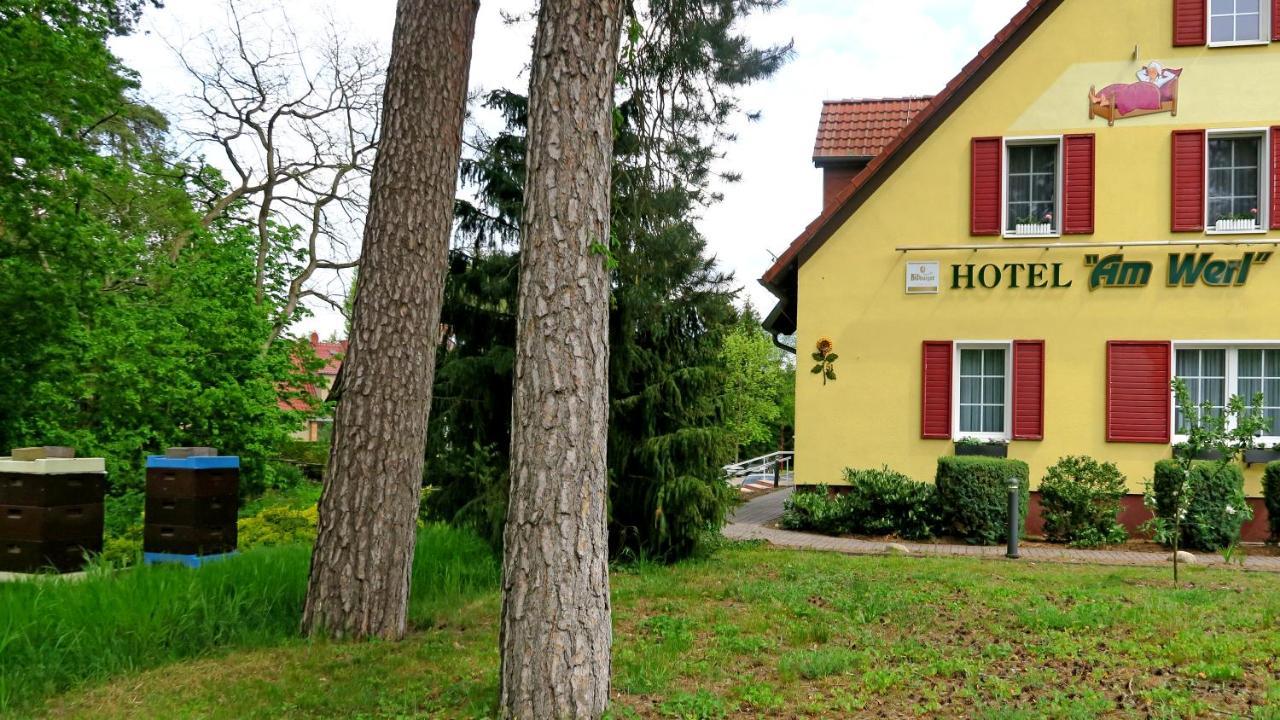 Hotel "Am Werl" Bad Saarow Dış mekan fotoğraf